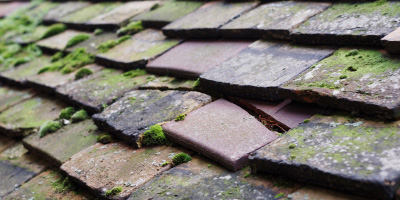 Ombersley roof repair costs